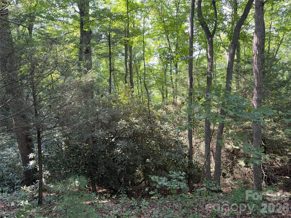 00 Early Frost Place #98 Waynesville, NC 28785