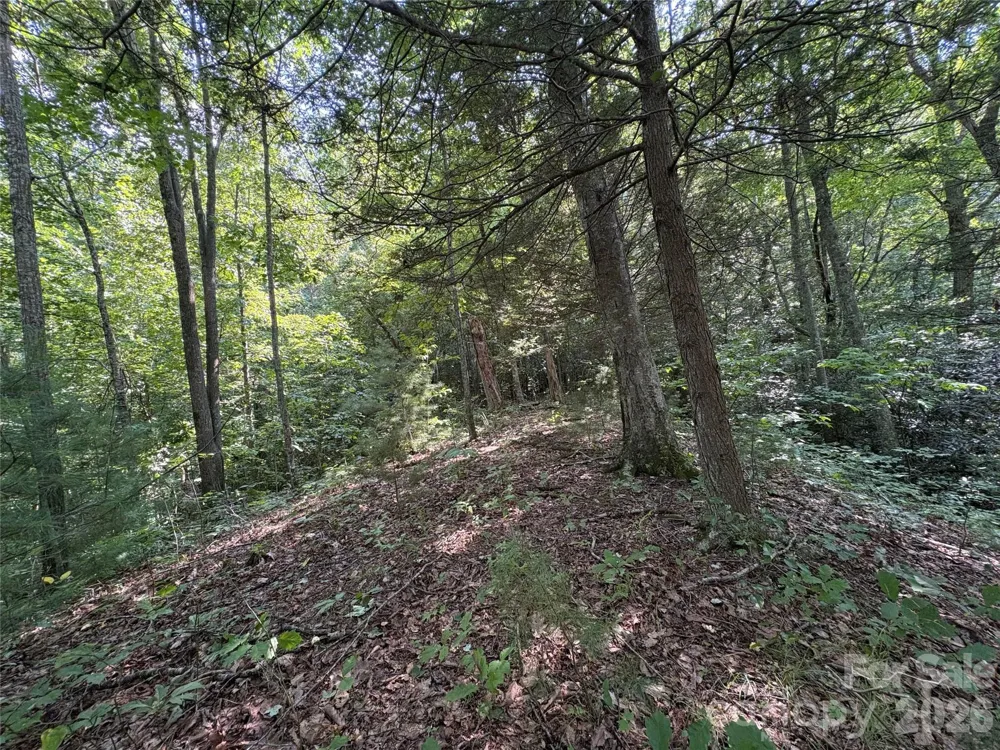 00 Early Frost Place #98 Waynesville, NC 28785