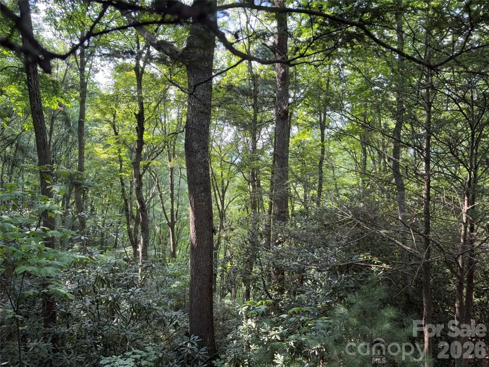 00 Early Frost Place #98 Waynesville, NC 28785