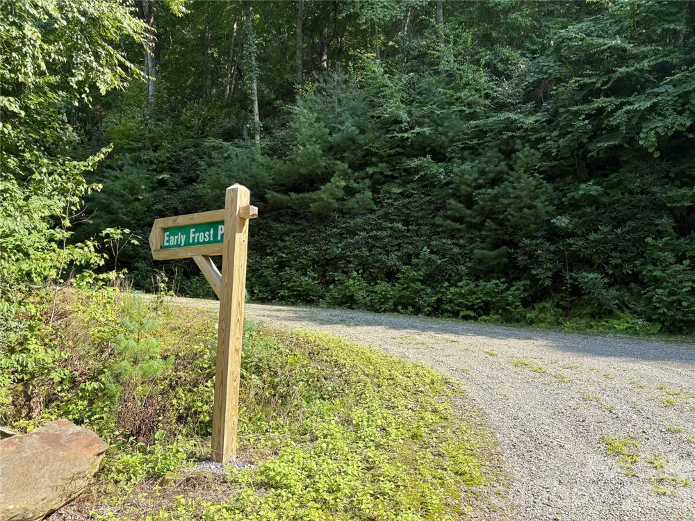 00 Early Frost Place #98 Waynesville, NC 28785