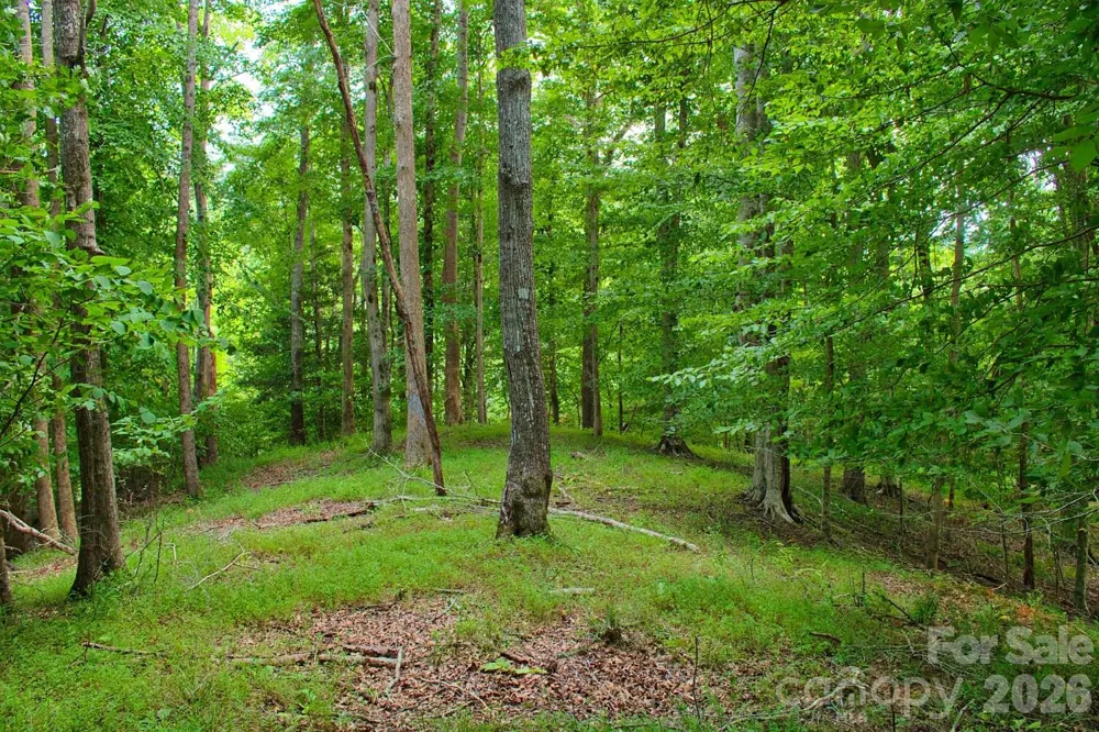 0 Cross Creek Drive #136+136A Rutherfordton, NC 28139