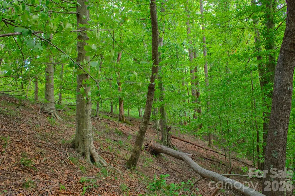 0 Cross Creek Drive #136+136A Rutherfordton, NC 28139