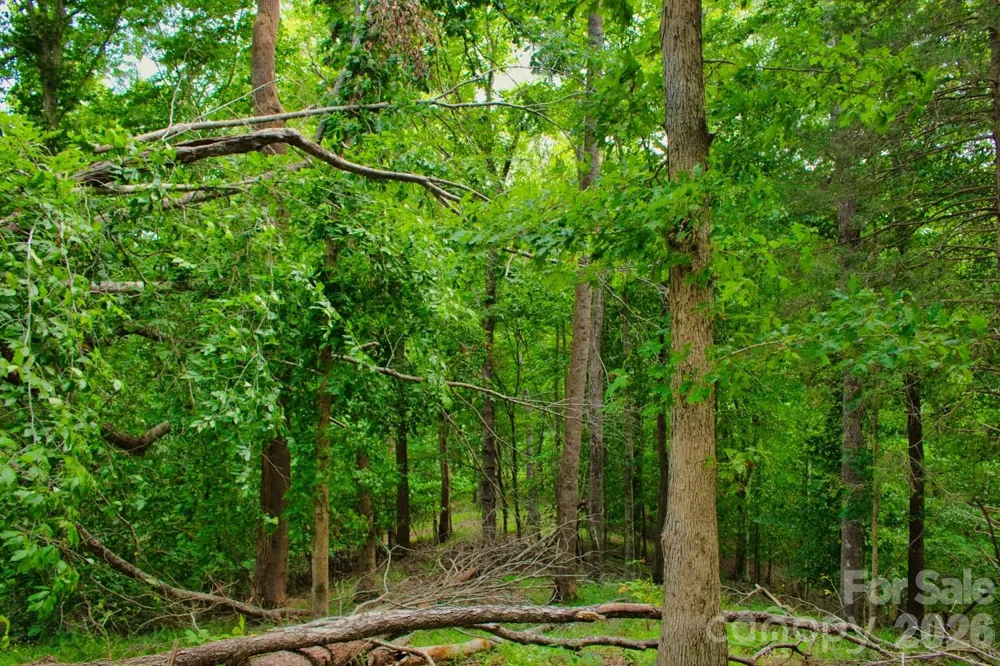 0 Cross Creek Drive #136+136A Rutherfordton, NC 28139