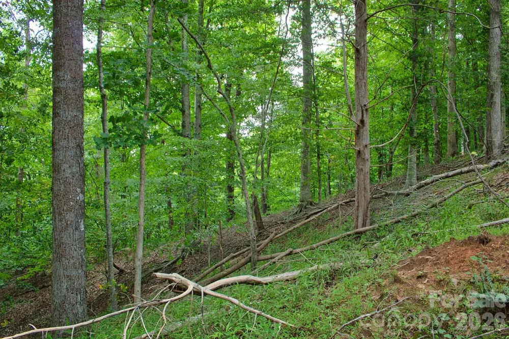 0 Cross Creek Drive #136+136A Rutherfordton, NC 28139