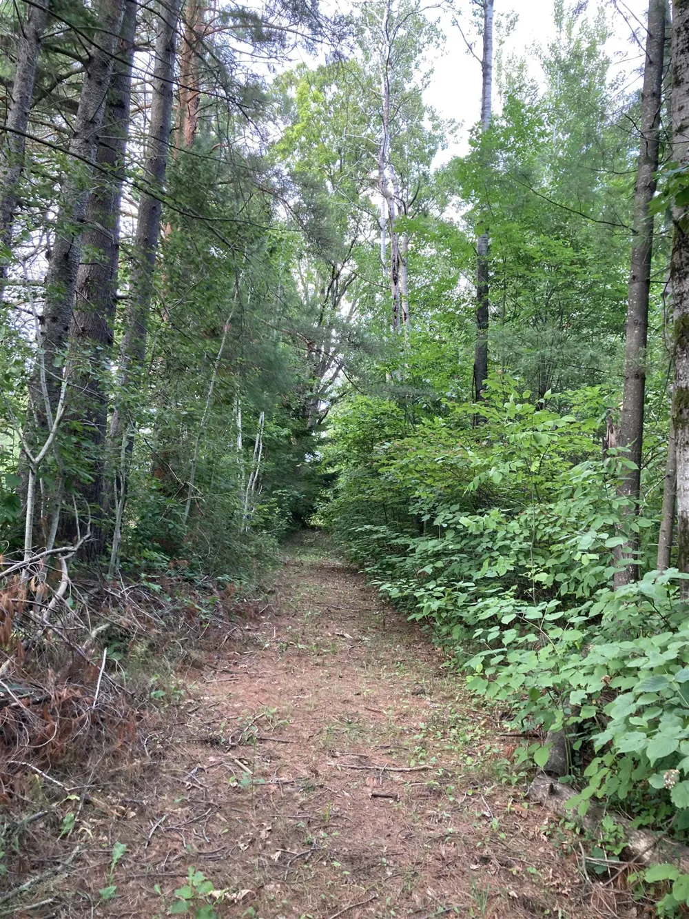 3548 Lakeside Drive Hill Township, MI 48635