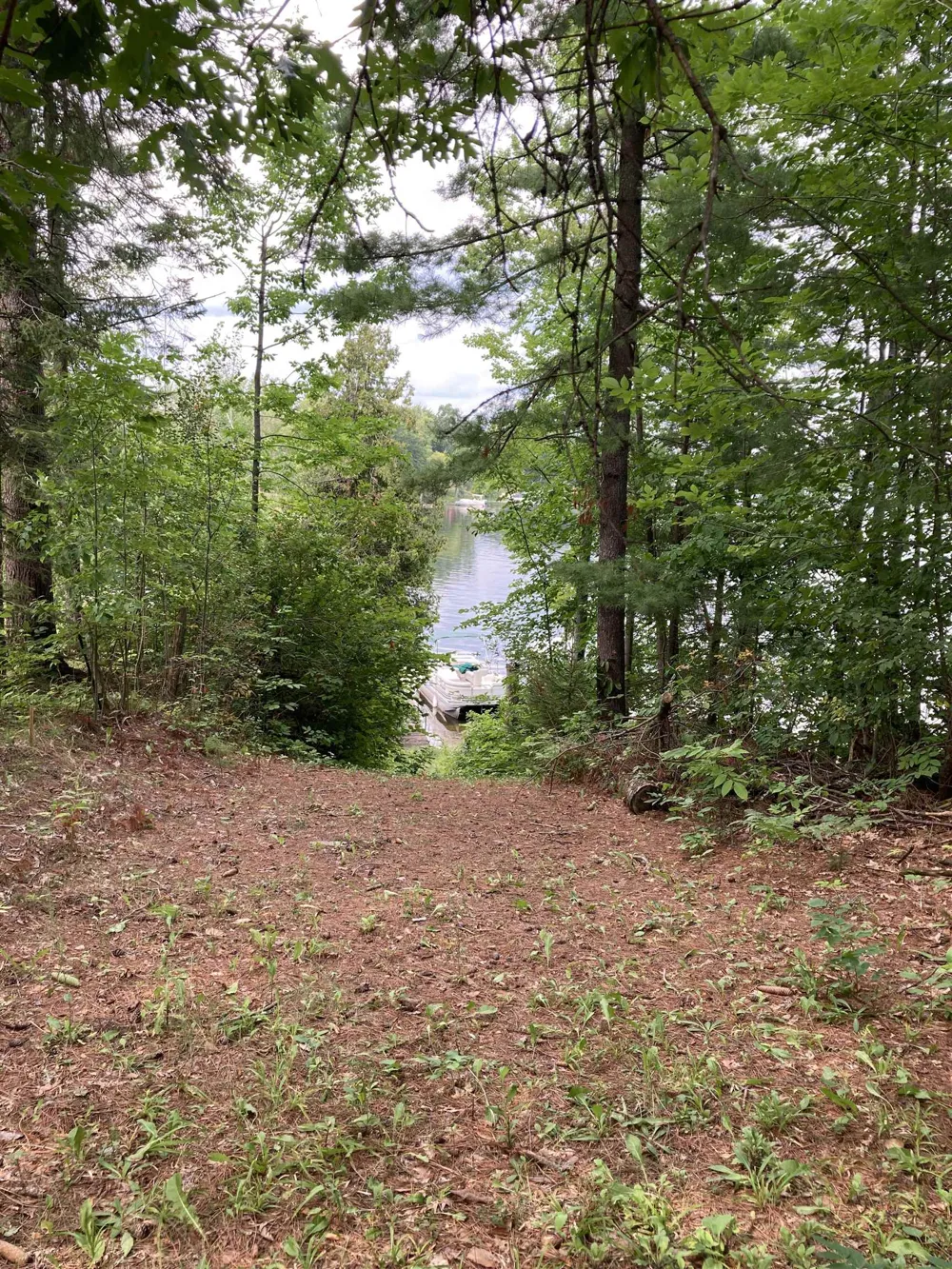 3548 Lakeside Drive Hill Township, MI 48635