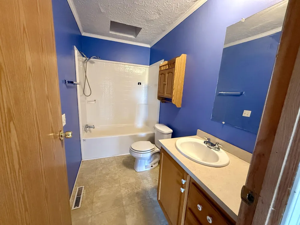 5202 Kellie Street Springville Township, MI 49668
