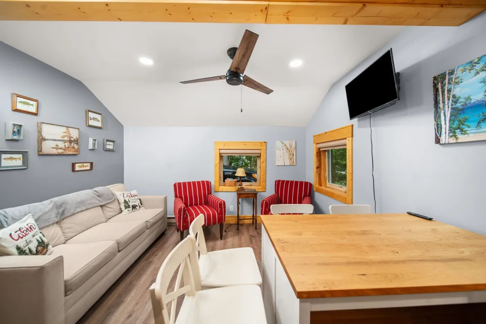 302 Boyd Street Fife Lake Township, MI 49633