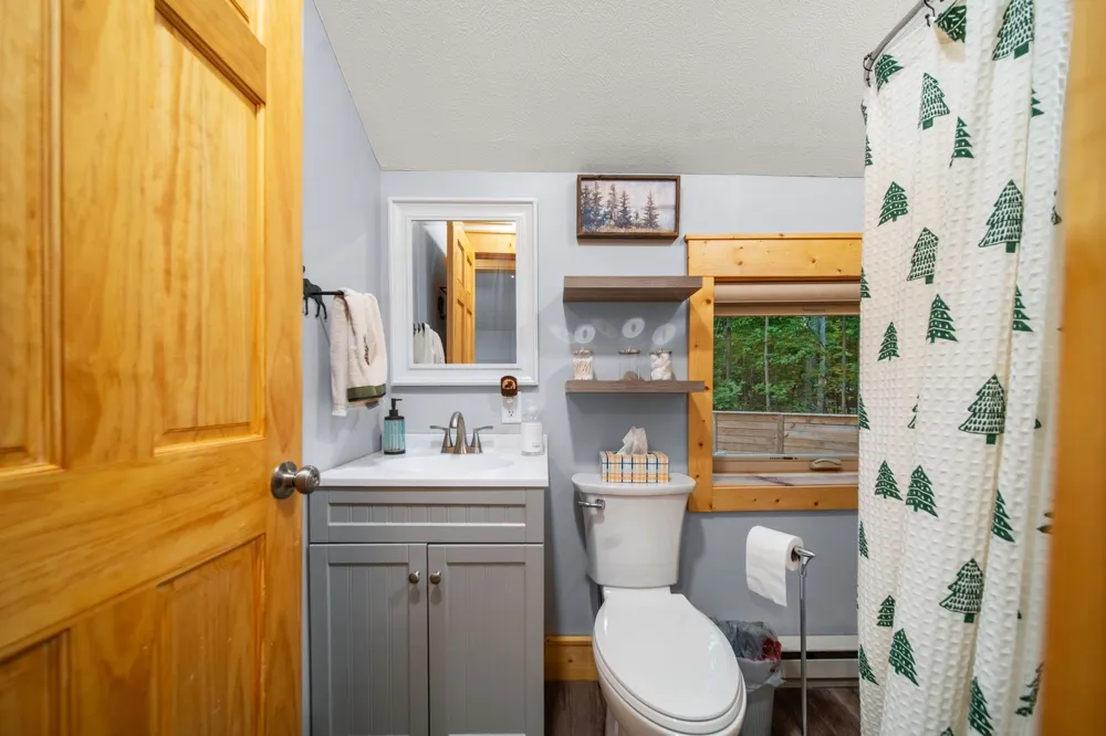 302 Boyd Street Fife Lake Township, MI 49633