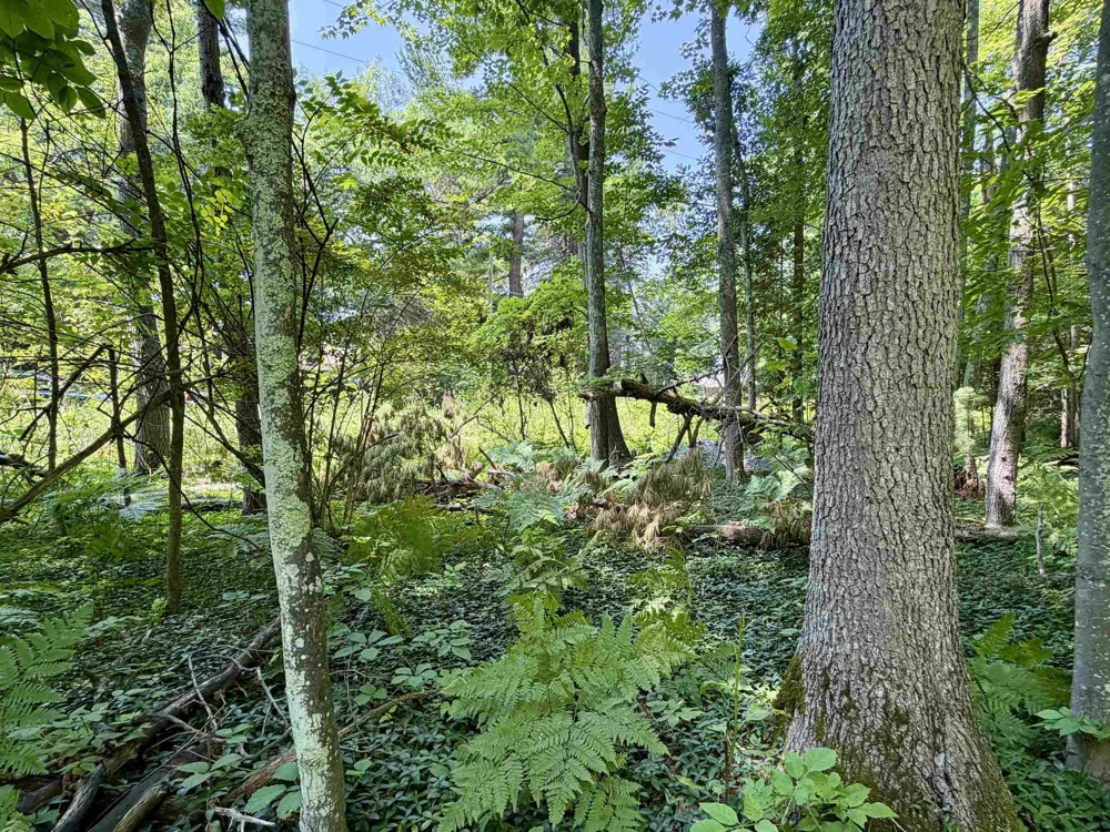 6478 Deepwater Point Acme Township, MI 49690