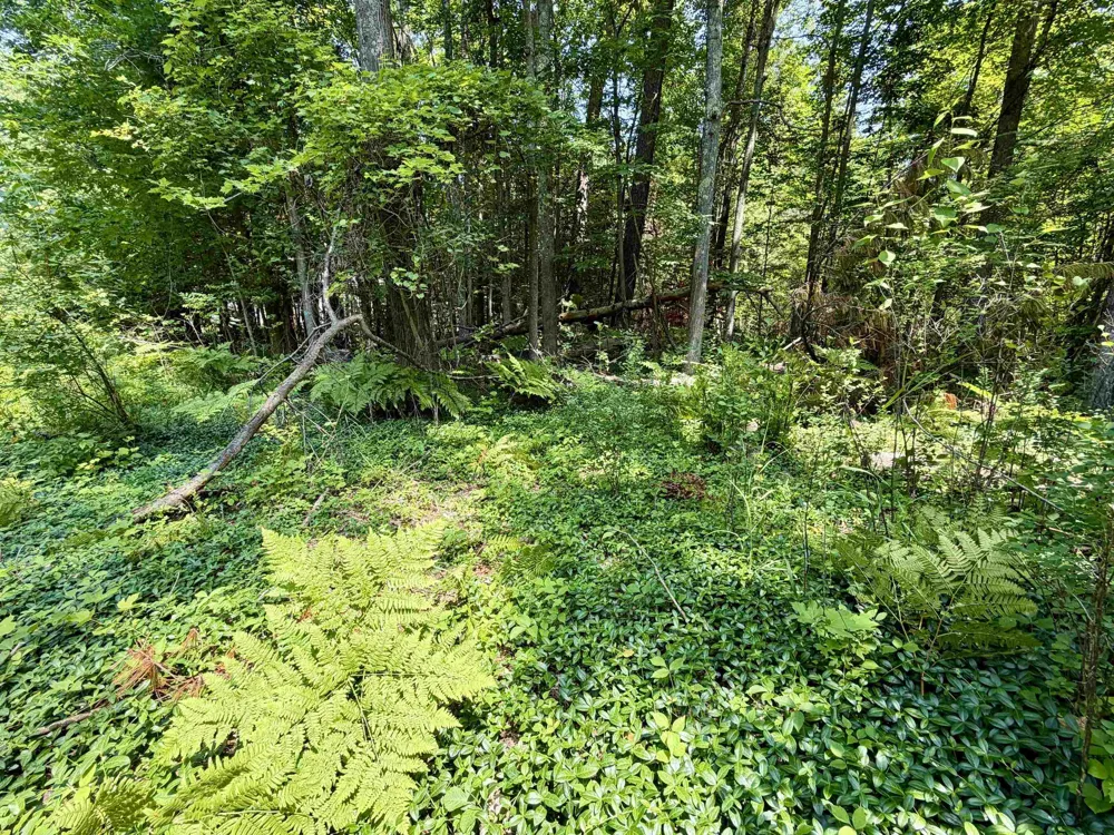 6478 Deepwater Point Acme Township, MI 49690