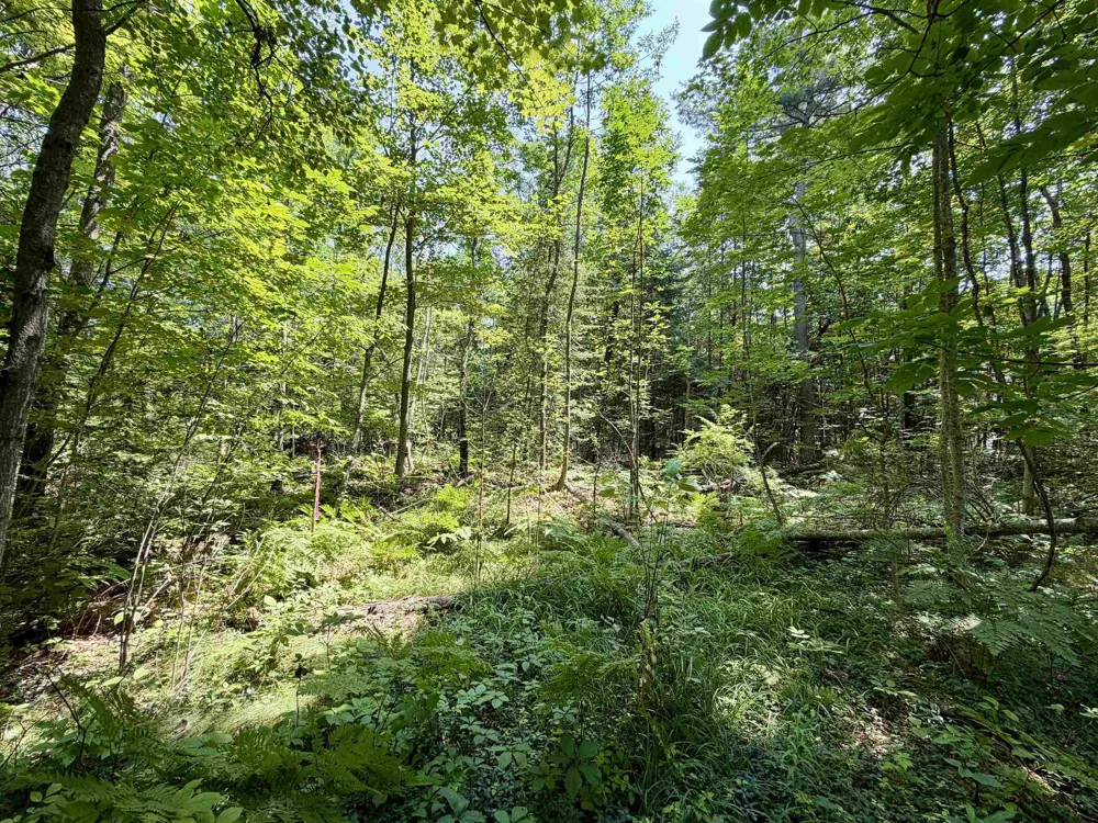 6478 Deepwater Point Acme Township, MI 49690