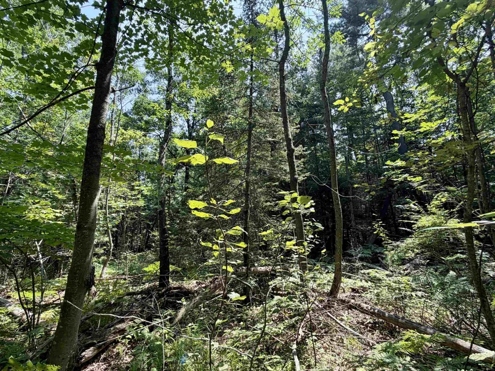 6478 Deepwater Point Acme Township, MI 49690