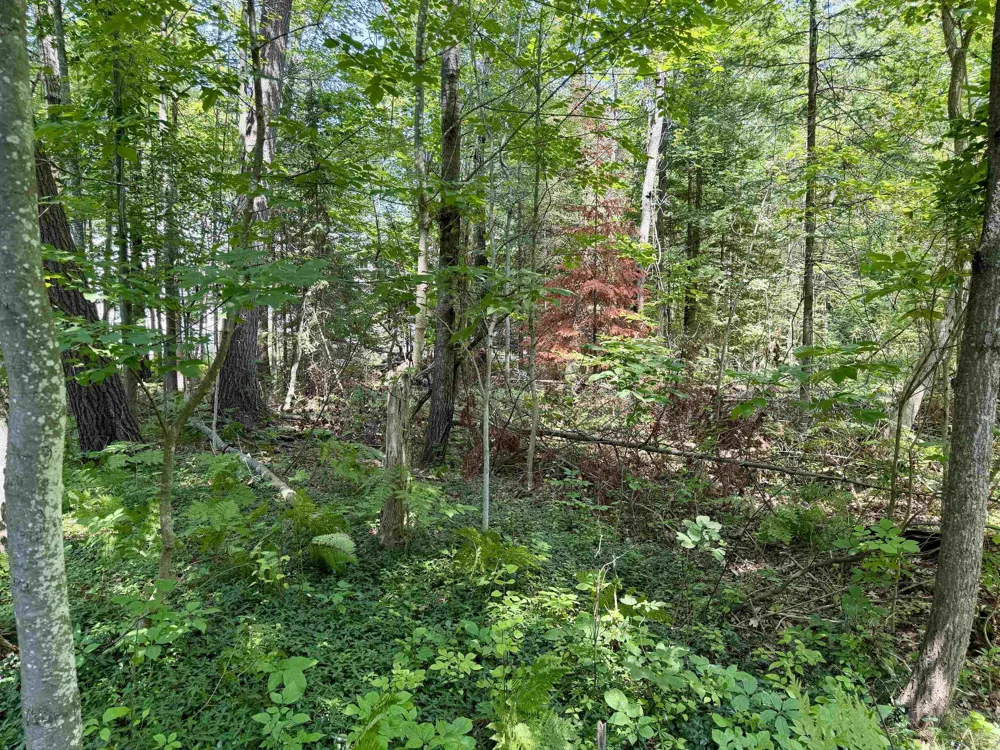 6478 Deepwater Point Acme Township, MI 49690