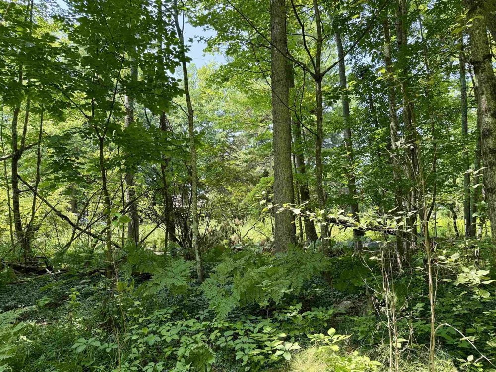 6478 Deepwater Point Acme Township, MI 49690