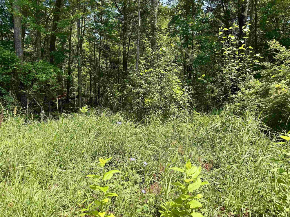 6478 Deepwater Point Acme Township, MI 49690