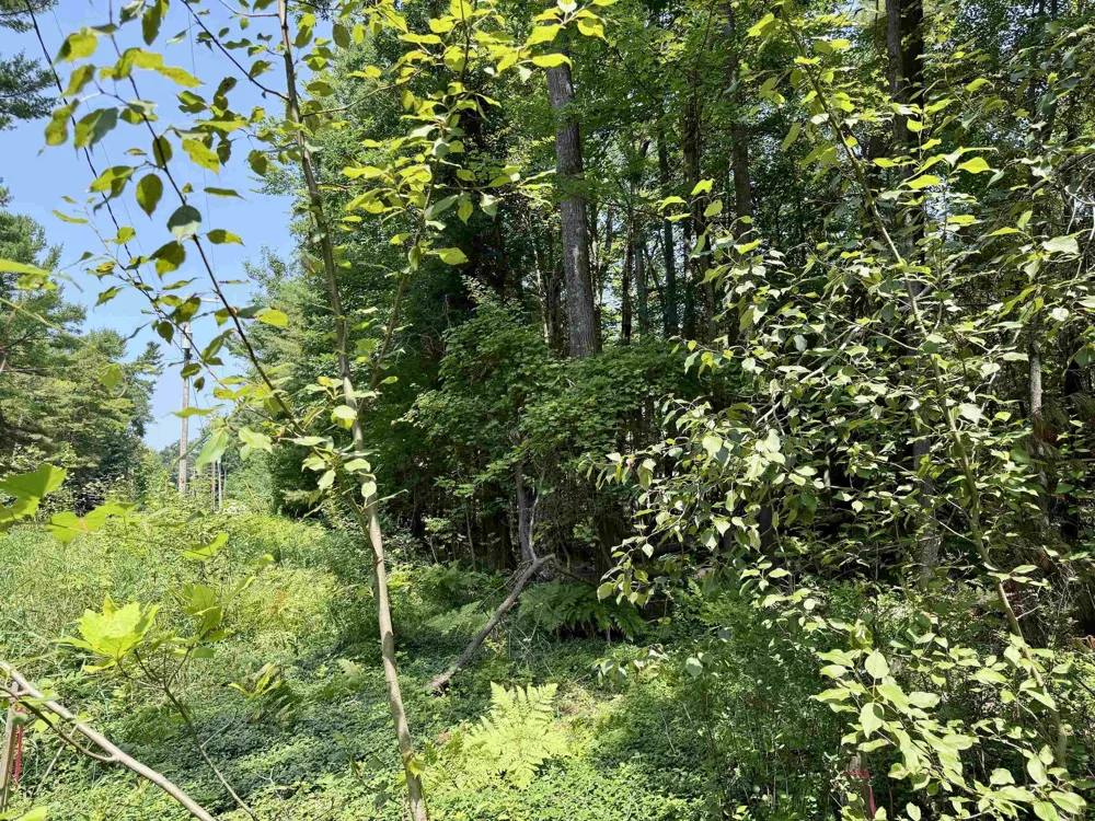 6478 Deepwater Point Acme Township, MI 49690
