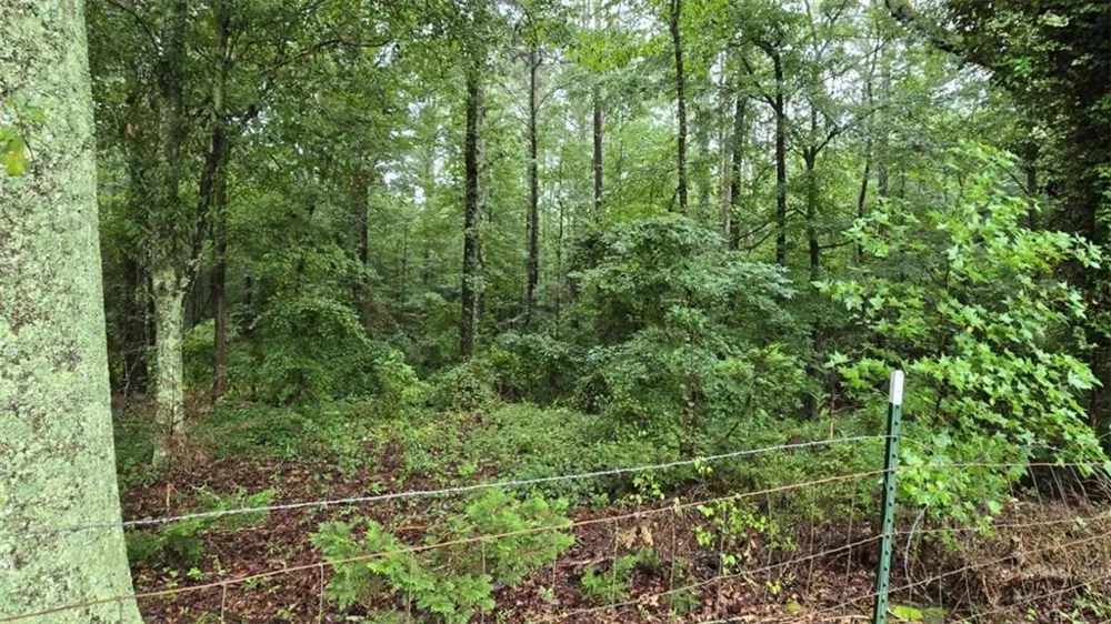 0 Bob Holman Road Athens, GA 30607