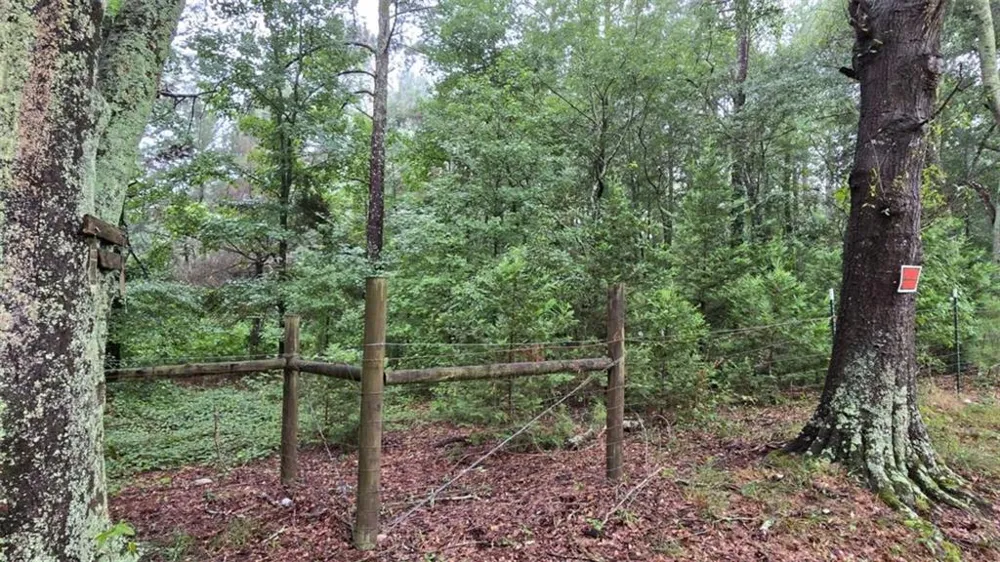 0 Bob Holman Road Athens, GA 30607
