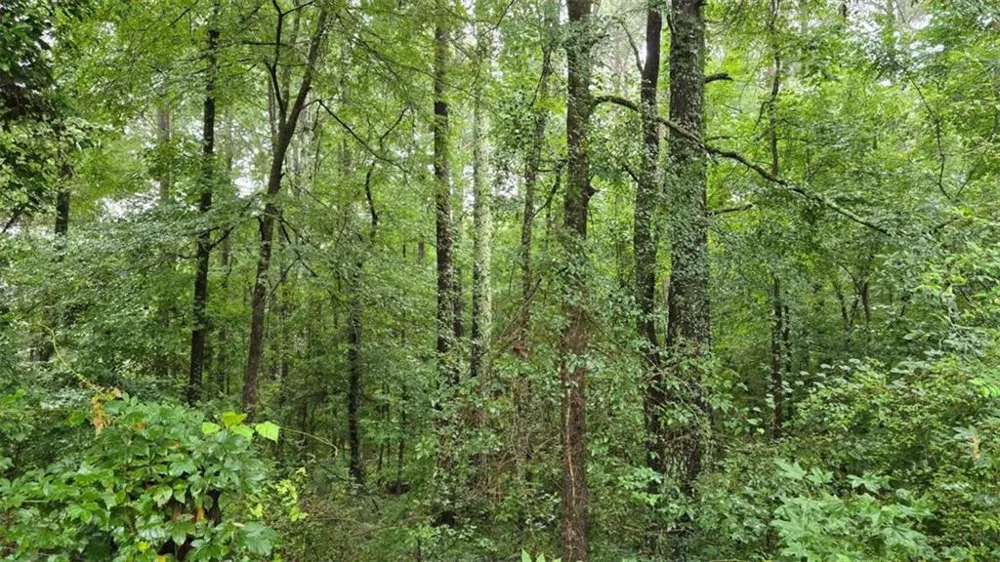 0 Bob Holman Road Athens, GA 30607