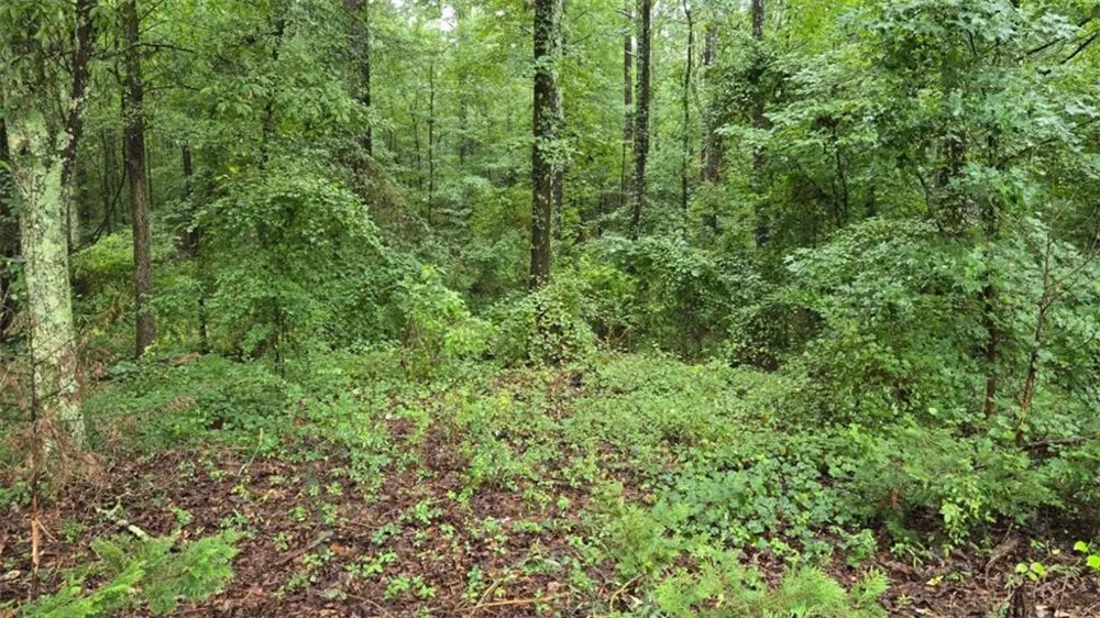 0 Bob Holman Road Athens, GA 30607