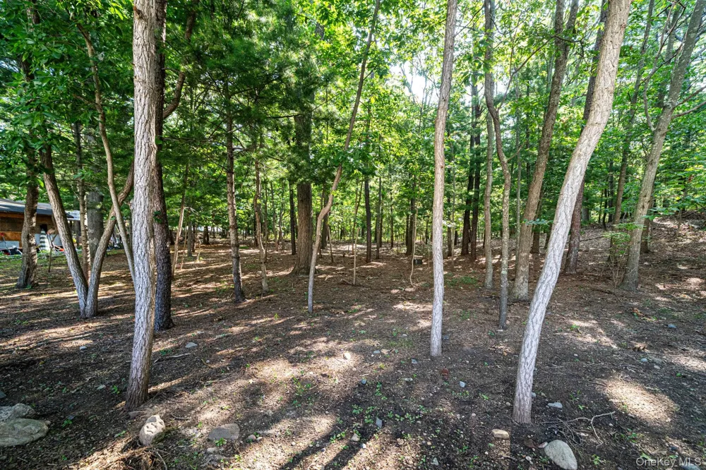 10 Cedar Lane Medford, NY 11763