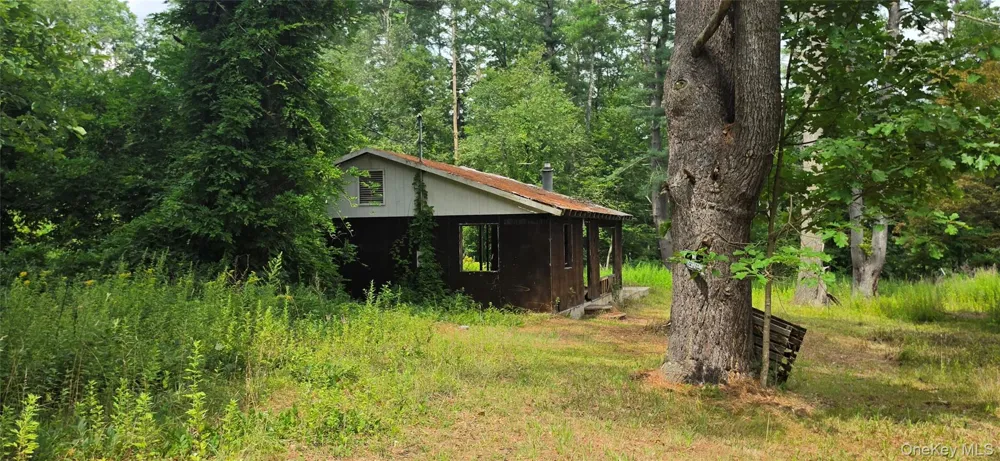6010 State Route 97 Narrowsburg, NY 12764