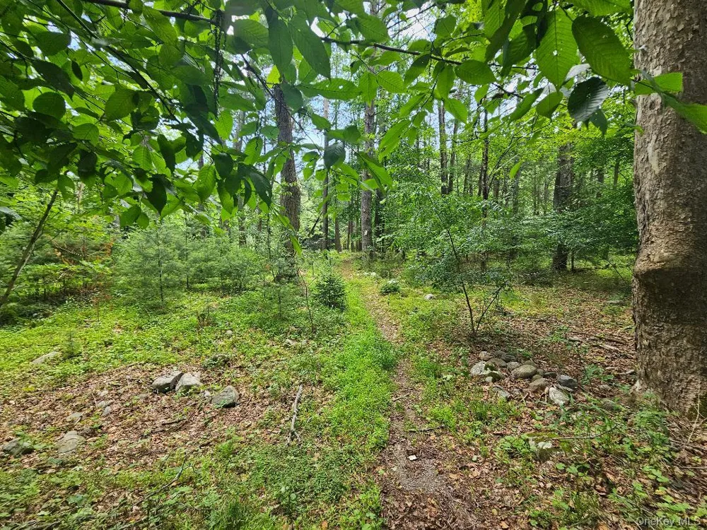 624-634 Oakland Valley Road Cuddebackville, NY 12729