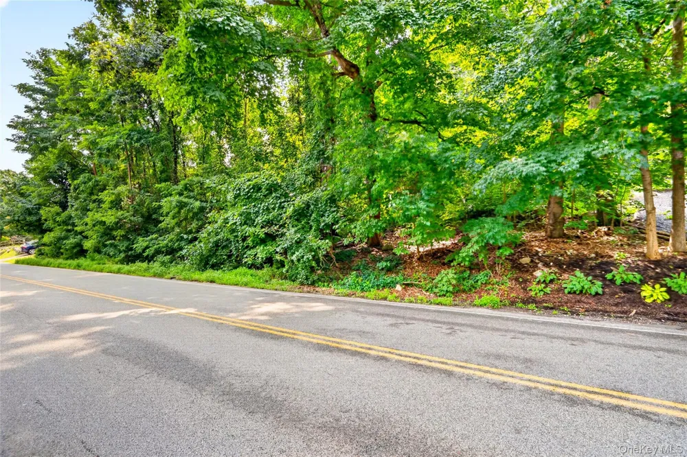 224 Haviland Drive Patterson, NY 12563
