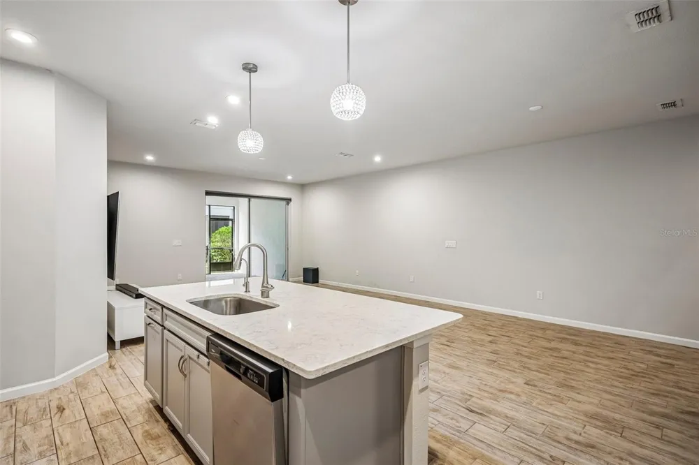 19405 MONARCH WIND WAY Lutz, FL 33558