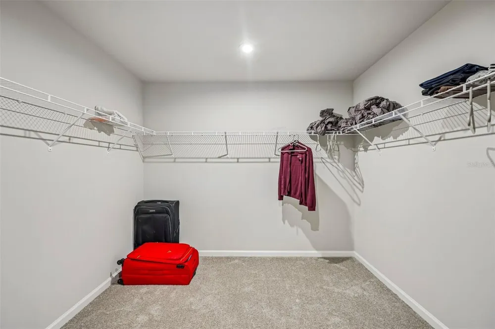 19405 MONARCH WIND WAY Lutz, FL 33558