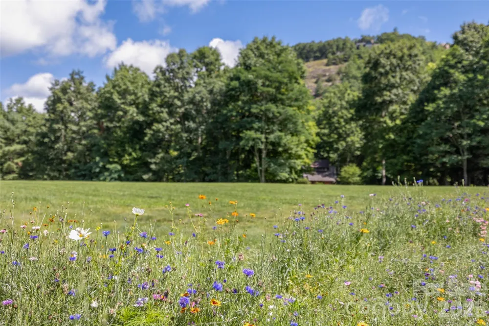 11 E Fish Camp Trail #W19 Glenville, NC 28736