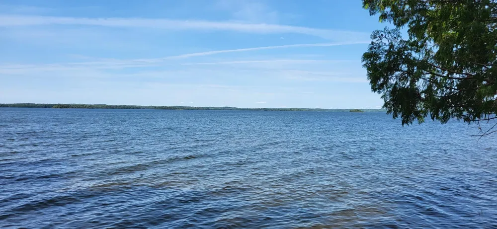 4456 Birch Forest Road Orr, MN 55771
