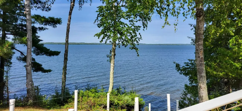 4456 Birch Forest Road Orr, MN 55771