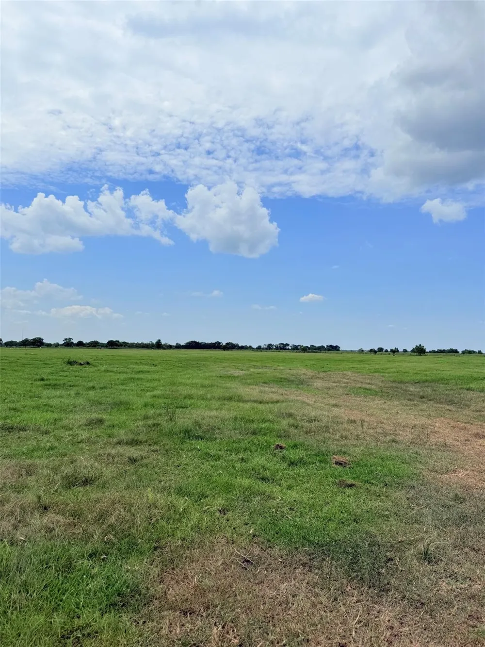 2235 County Road 18 Damon, TX 77430