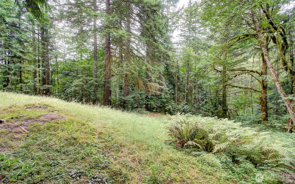 20301 NE 225th Avenue Brush Prairie, WA 98606