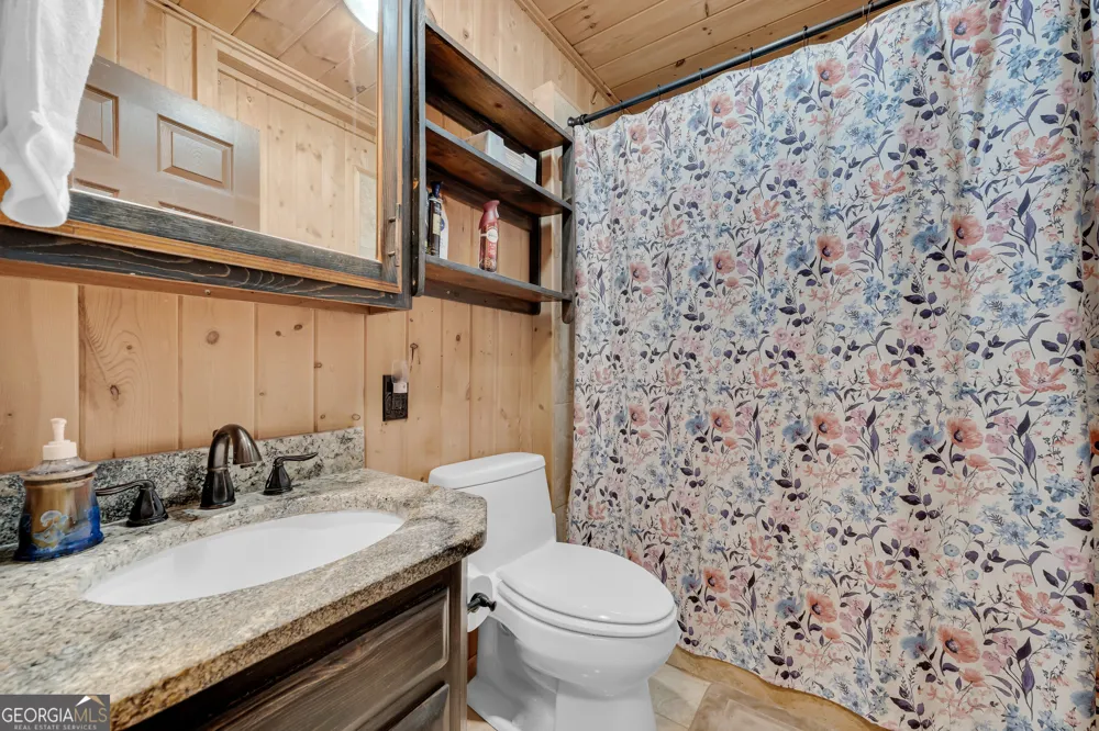 113 Biddy Mtn LN Tiger, GA 30576