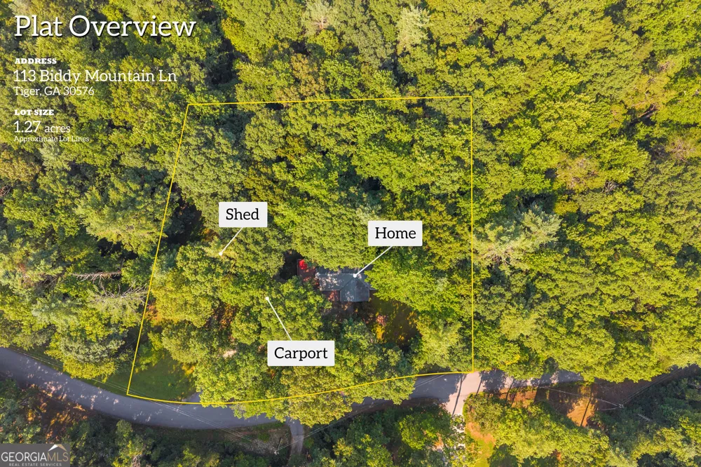 113 Biddy Mtn LN Tiger, GA 30576