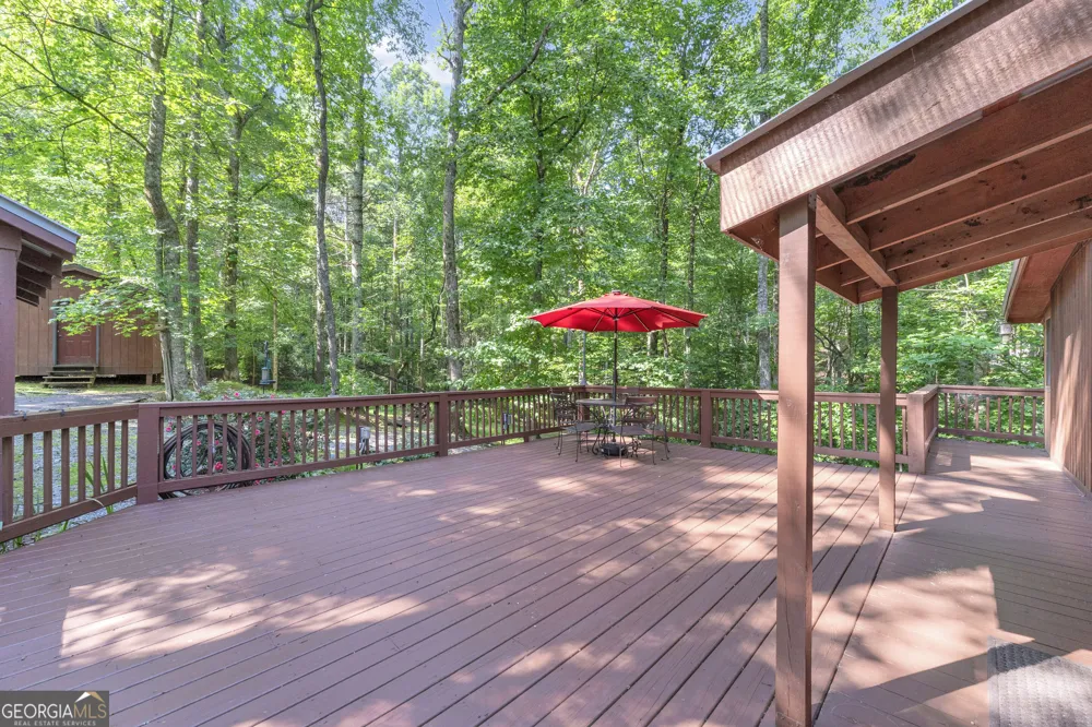 113 Biddy Mtn LN Tiger, GA 30576