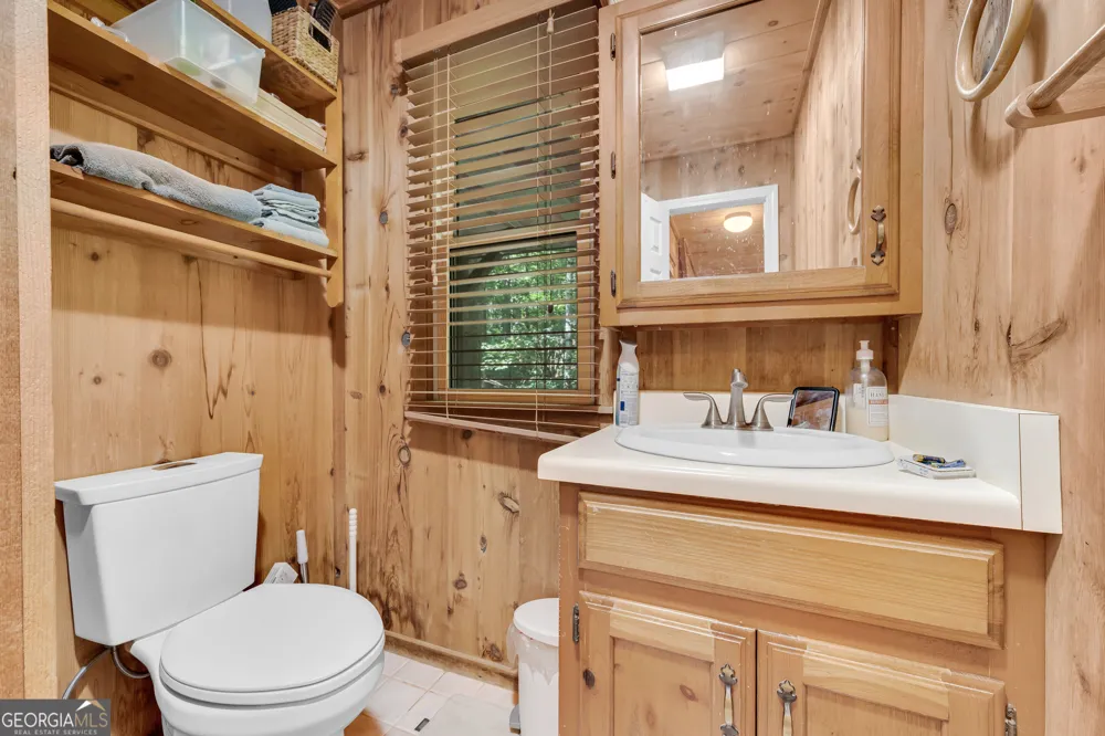 113 Biddy Mtn LN Tiger, GA 30576