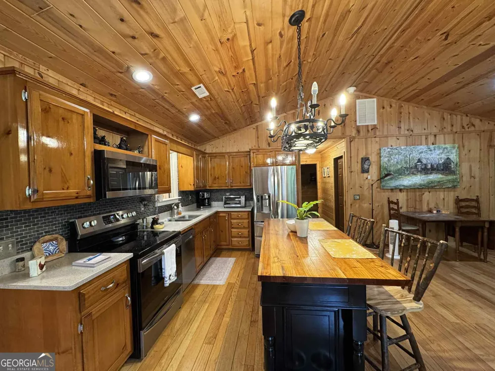 113 Biddy Mtn LN Tiger, GA 30576