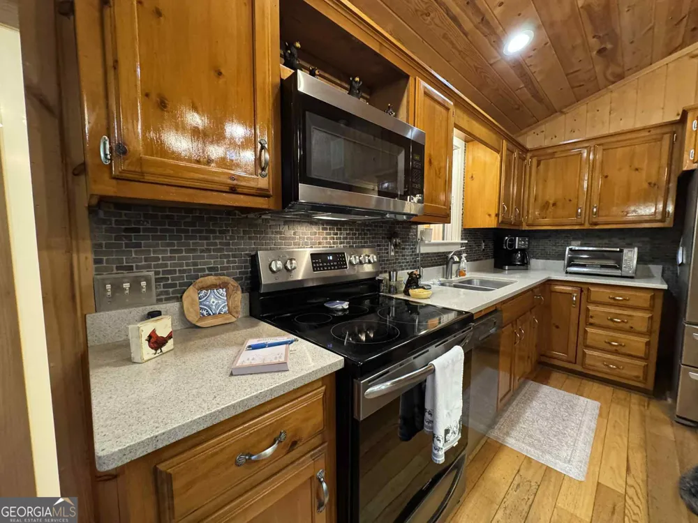 113 Biddy Mtn LN Tiger, GA 30576