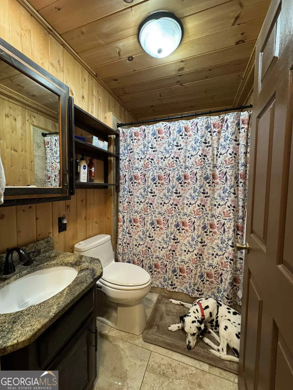 113 Biddy Mtn LN Tiger, GA 30576