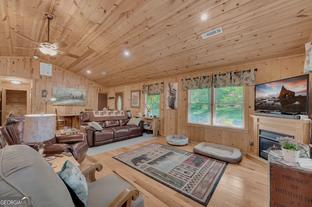 113 Biddy Mtn LN Tiger, GA 30576
