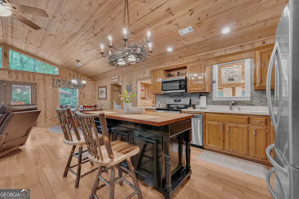 113 Biddy Mtn LN Tiger, GA 30576