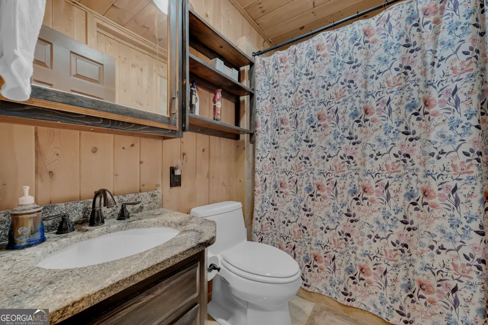 113 Biddy Mtn LN Tiger, GA 30576