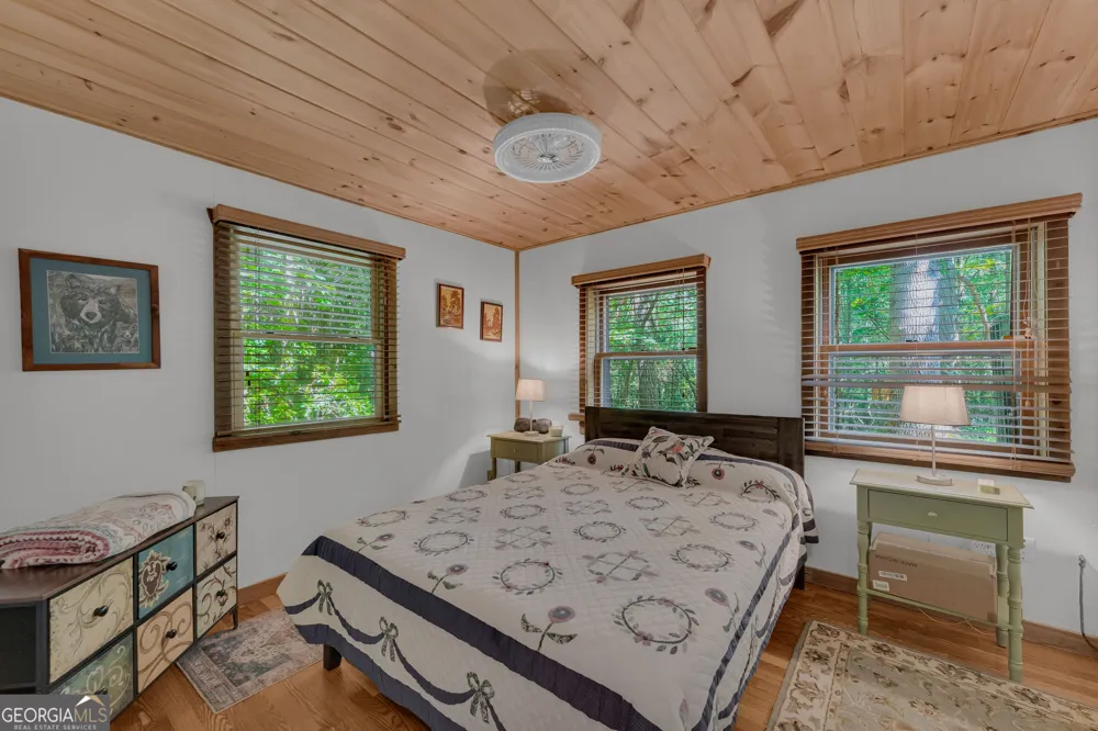 113 Biddy Mtn LN Tiger, GA 30576