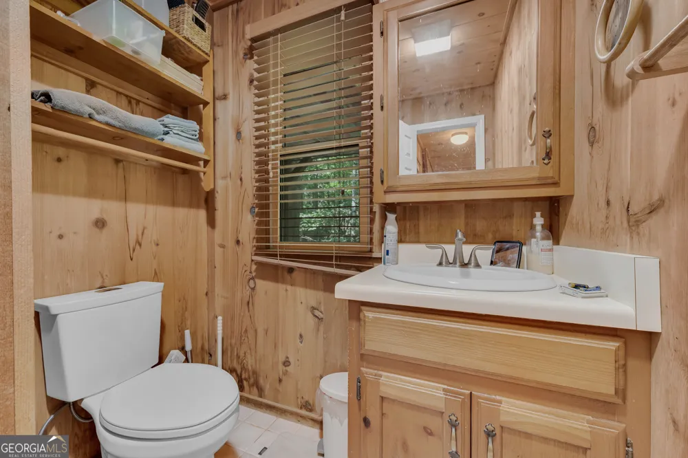 113 Biddy Mtn LN Tiger, GA 30576
