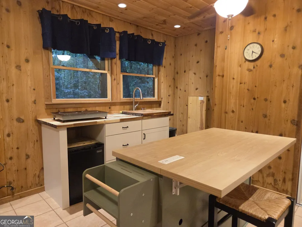 113 Biddy Mtn LN Tiger, GA 30576