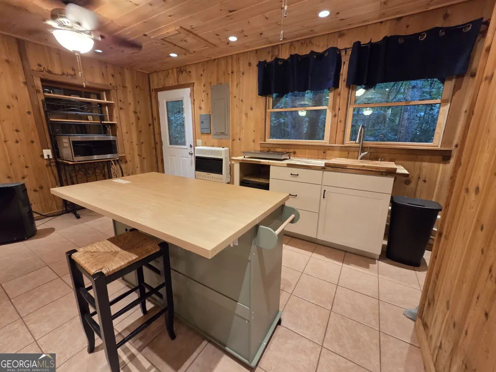 113 Biddy Mtn LN Tiger, GA 30576